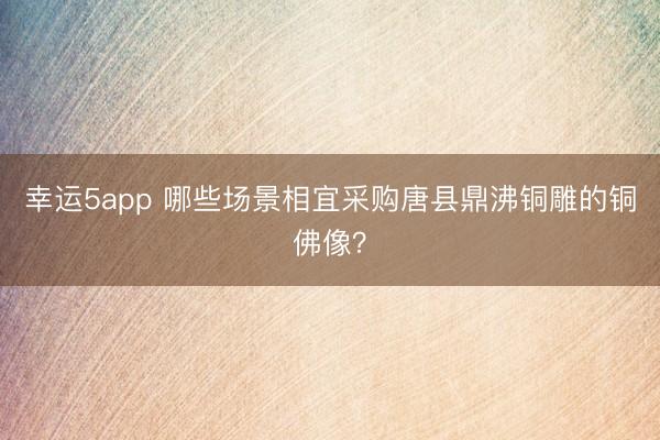 幸運(yùn)5app 哪些場(chǎng)景相宜采購(gòu)唐縣鼎沸銅雕的銅佛像?