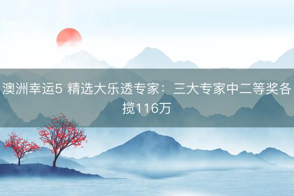 澳洲幸運(yùn)5 精選大樂(lè)透專家:三大專家中二等獎(jiǎng)各攬116萬(wàn)